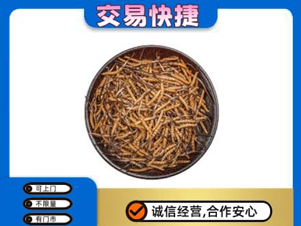 庆元县回收散虫草
